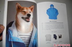 色dog绅士,揭秘网络色情文化的暗流涌动