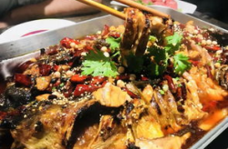 烤鱼店小姐姐,小姐姐带你领略美食魅力