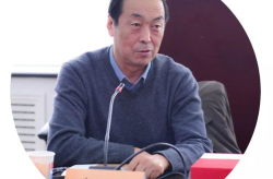 白烨 文章,探寻文化传承与创新之路