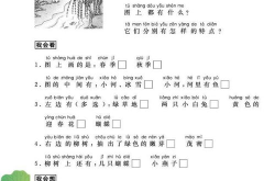 舞蹈生日记63期图片,探寻舞蹈背后的故事与情感
