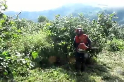 爱秀 除草,绿色环保，守护家园的绿色卫士