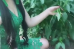 小姐姐绿,小姐姐绿的时尚魅力之旅